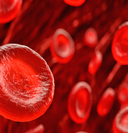 Increased production of Red Blood Cells