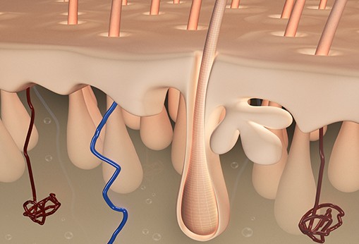 Fast-Acting B Vitamin Infusion Therapy