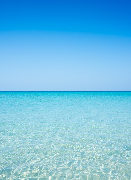 IV Vitamin D Therapy The Ultimate Muscle Strength Booster